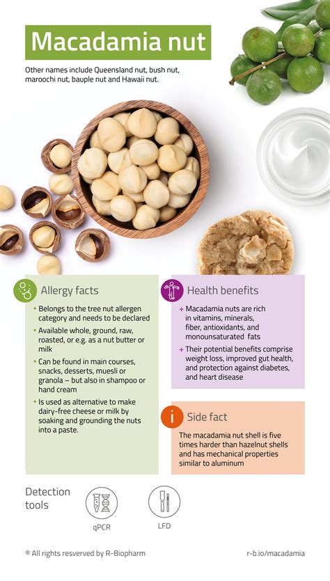 Macadamia nut – Food & Feed Analysis