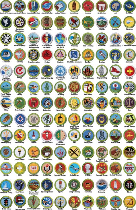 All About Merit Badges – Boy Scout Troop 169