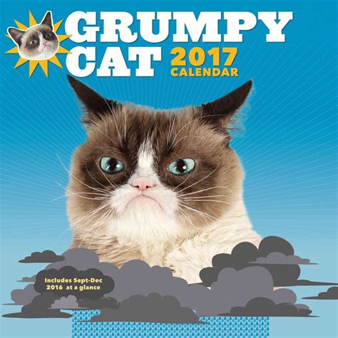 Grumpy Cat by Grumpy Cat, Wall, 9781452145464 | Buy online at The Nile