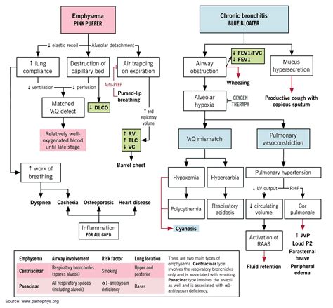 COPD (Emphysema and Chronic Bronchitis): From Diagnosis to Treatment ...