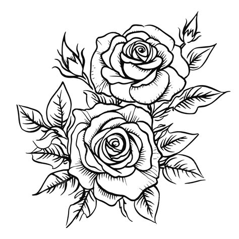 Rose Tattoo Black And White Outline