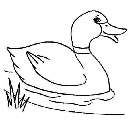 Duck coloring page - Animals Town - animals color sheet - Duck ...