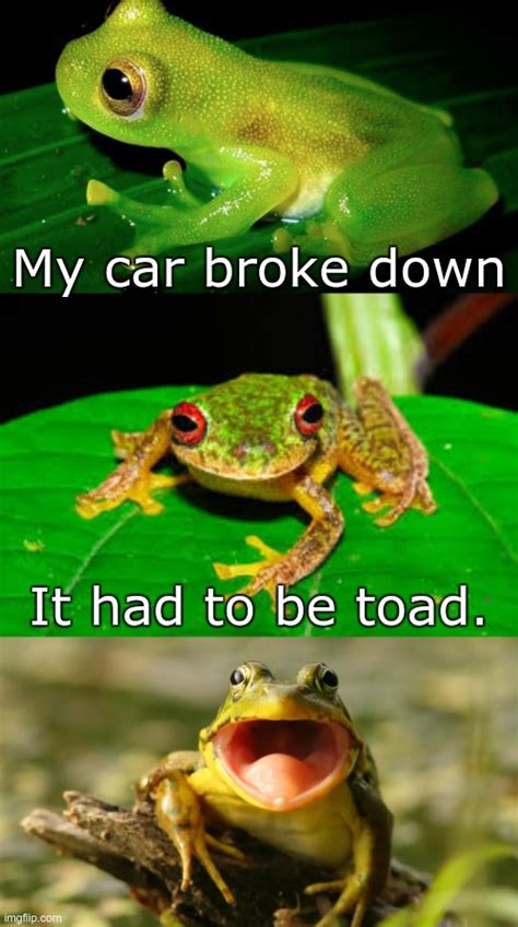 frogs Memes & GIFs - Imgflip