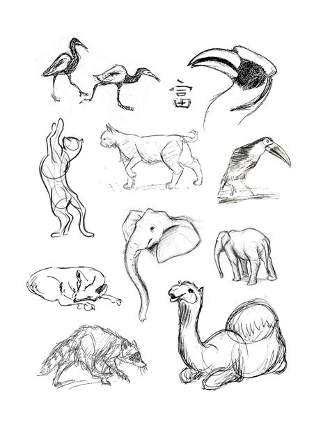 Easy Sketches To Draw With Pencil Animals / A wide variety of draw ...