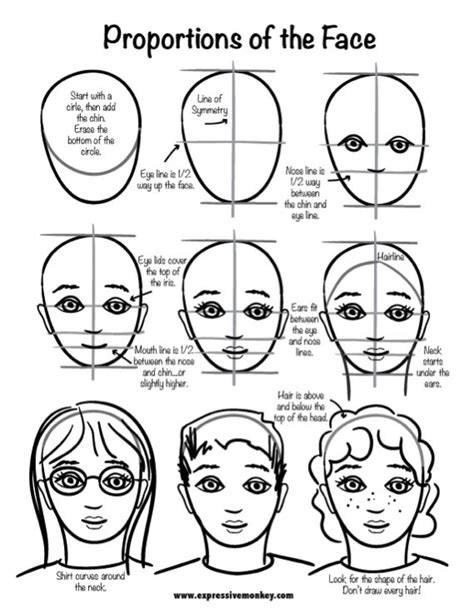 Proportions Of The Face Worksheets