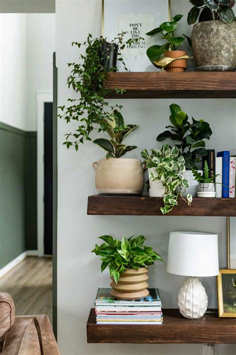 Plant Wall Shelf Ideas {Plant Display Tips!} – Love & Renovations