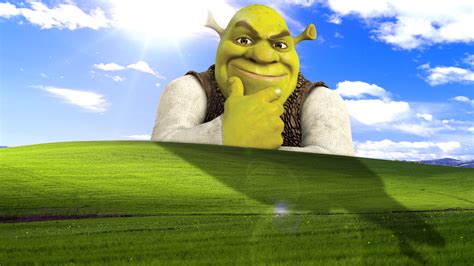 Shrek Meme Wallpapers - Top Free Shrek Meme Backgrounds - WallpaperAccess