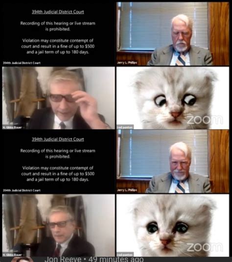 Cat lawyer zoom meeting Blank Template - Imgflip