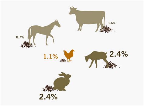 Animals In The Compost - Horse Poop Vs Cow Poop , Free Transparent ...