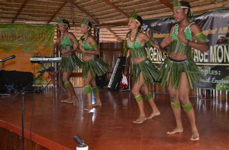 ‘Green’ agenda synonymous with Indigenous culture - Guyana Chronicle