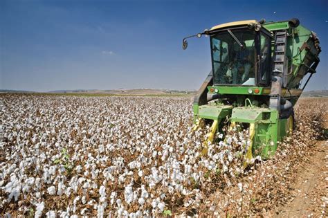 Cotton harvester | Harvesting, Automation, Efficiency | Britannica