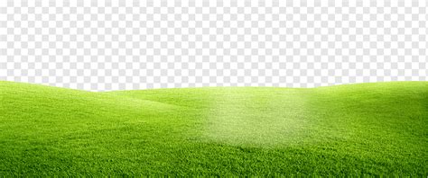 Green lawn, green, meadow, posters grass background png | PNGWing