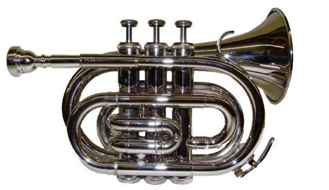 Best Pocket Trumpets Reviewed and Rated | TrumpetHub