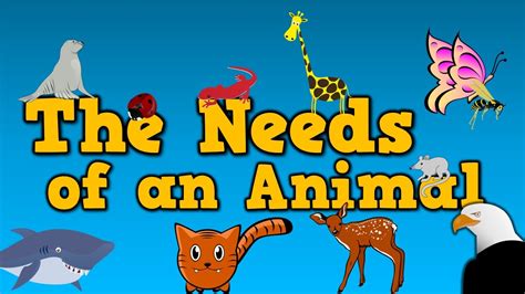 What 5 Things Do Animals Need to Survive - GabrielkruwBauer