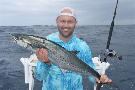 Spotted mackerel basics - Fishing World Australia