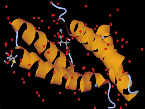 Protein Structure Function - Bank2home.com