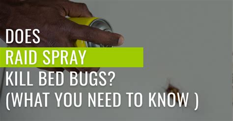 Does Raid Spray Kill Bed Bugs? | Pest Resources