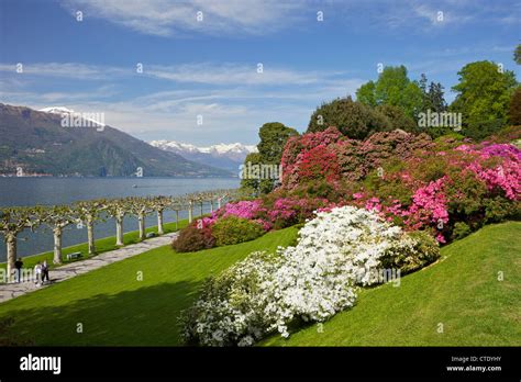 Gardens of Villa Melzi, Bellagio, Lake Como, Italy, Europe Stock Photo ...