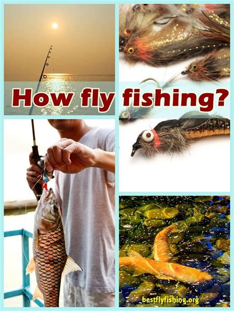 Fly Fishing Techniques. Methods for Improving Fly Fishing