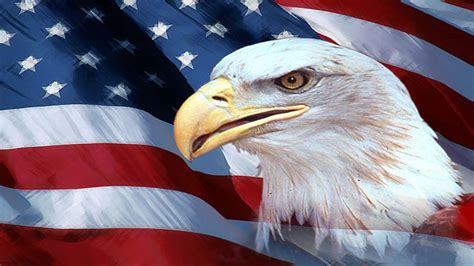 USA Flag Eagle Wallpapers - Top Free USA Flag Eagle Backgrounds ...