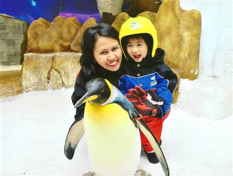 Snow Penguins Encounter at Ski Dubai | Cuddles and Crumbs