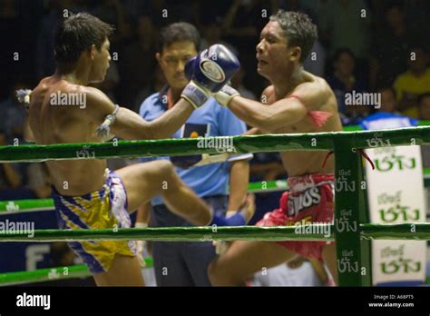 Front kick to lower body during a Muay Thai fight (Rajadamnern stadium ...