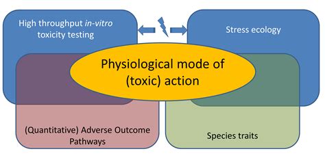 Models in ecotoxicology - Ecotoxicology and Models