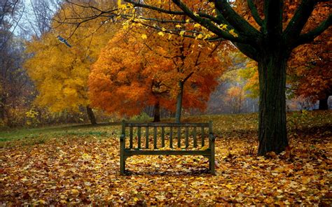 Beautiful Fall Scenery Wallpaper (49+ images)