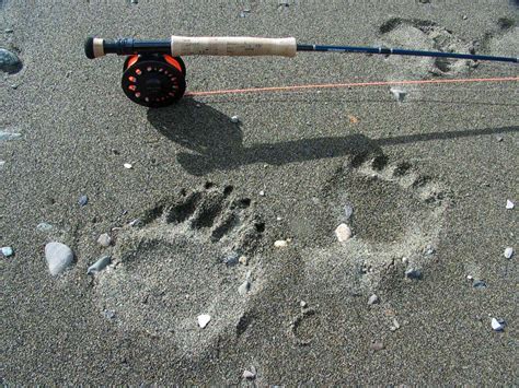 Alaska Fly Fishing Adventure Trips - Wilderness Safari