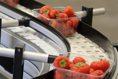 Active Packaging | EMCO Technology Ensuring Freshness in the Food Industry