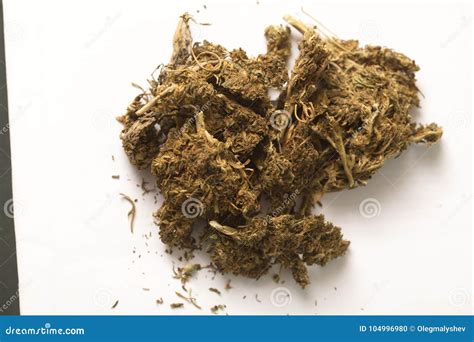 Indian Hemp and Hashish Cannabis Stock Photo - Image of green, grass ...