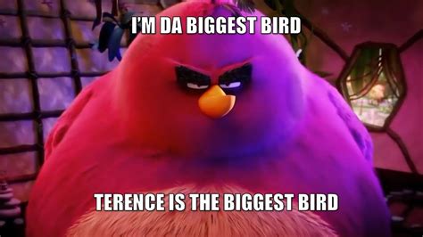 I'm Da Biggest Bird - YouTube