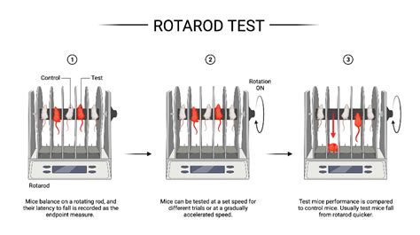 Rotarod Test for Mice | BioRender Science Templates