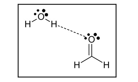 Solved On a page titled Hydrogen Bonding with Water | Chegg.com