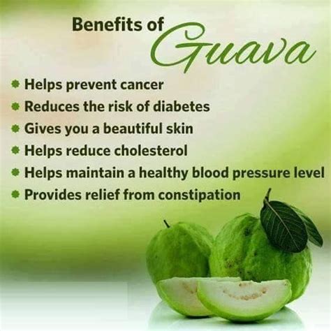 9 Surprising Uses and Benefits of Guava Leaves Tea | by Guava Leaf Tea ...