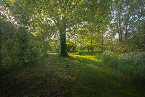 Wedding Venue in Dorchester, Sculpture by the lakes | UKbride