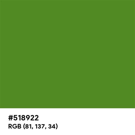 #518922 color name is Sap Green