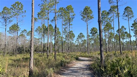 Conservation Park, Panama City Beach – Florida Hikes