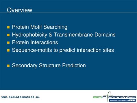 PPT - Protein Sequence Motifs PowerPoint Presentation, free download ...