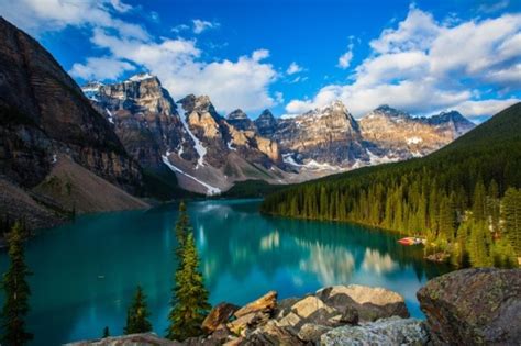 The Wonderful Wildlife of Banff National Park! - WanderingTrader