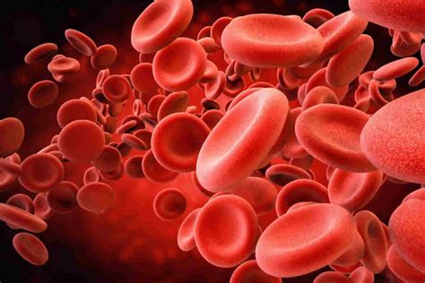 Human blood types explained, how do blood types work & blood types ...