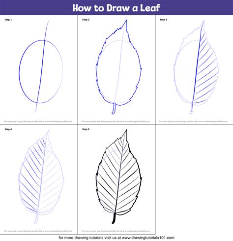 How to Draw a Leaf (Plants) Step by Step | DrawingTutorials101.com