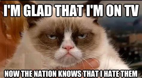 Grumpy Cat Quotes | Funny Collection World