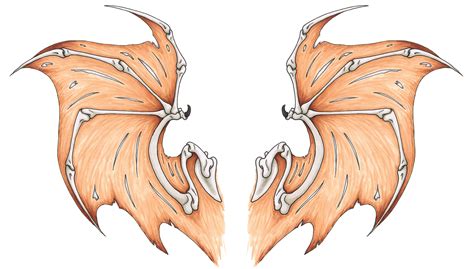 Bat Wings Tattoo Design — Weasyl