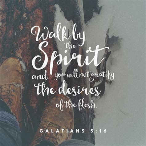 Galatians 5:17 For the flesh lusteth against the Spirit, and the Spirit ...