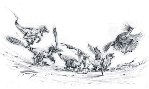 Feathered Dinosaurs by PaleoPastori on DeviantArt