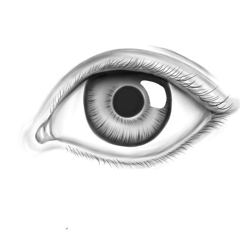 Realistic Eye by Appletumble on DeviantArt