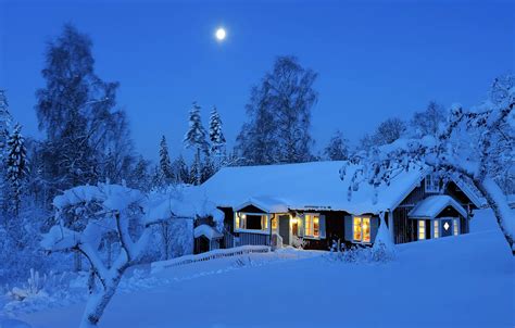 Wallpaper winter, forest, light, snow, trees, night, lights, the moon ...