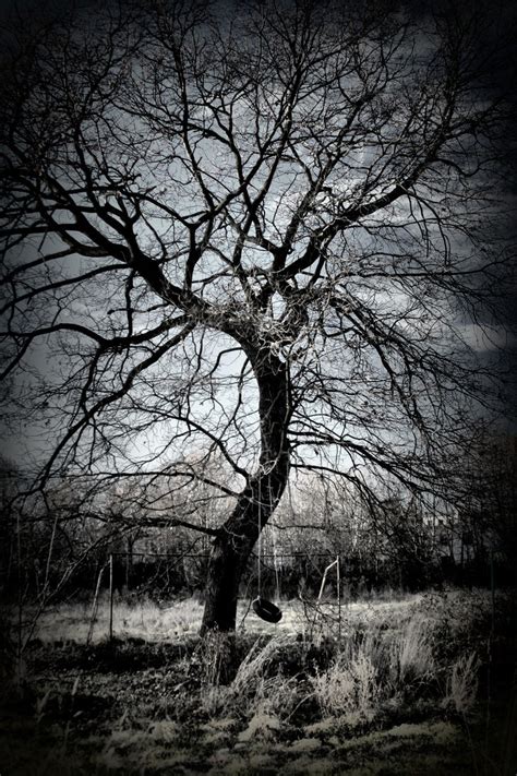 sad tree by WilhelmBielawa on DeviantArt