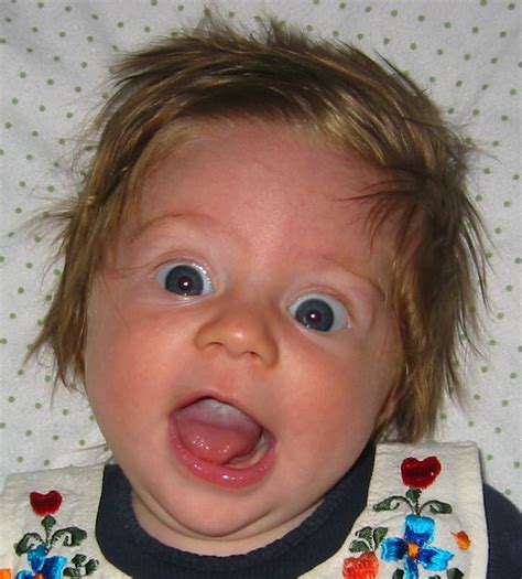 Funny LOL Face Pics - LoL!!! | Pics - HD Wallpaper - image - Photo and ...